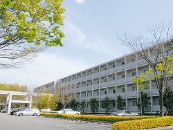 Image Caption
