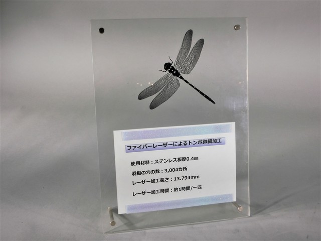 Entrywork Image