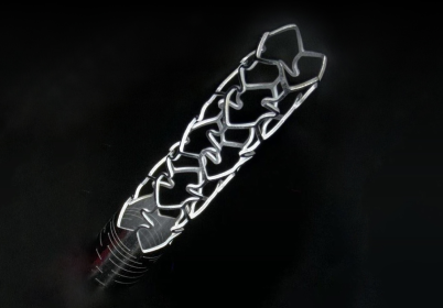 Photo:stent