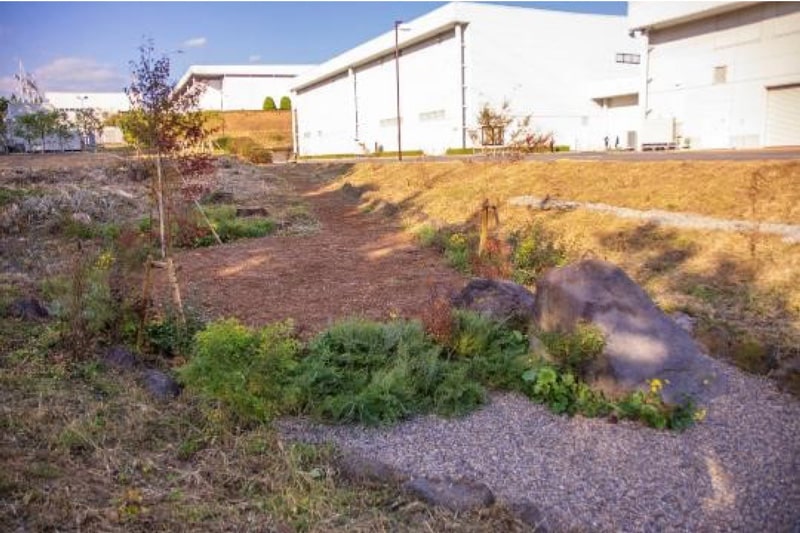 Photo: Rain Garden, a permeable planting strip at the Isehara Works that won the 3rd Green Infrastructure Grand Prize