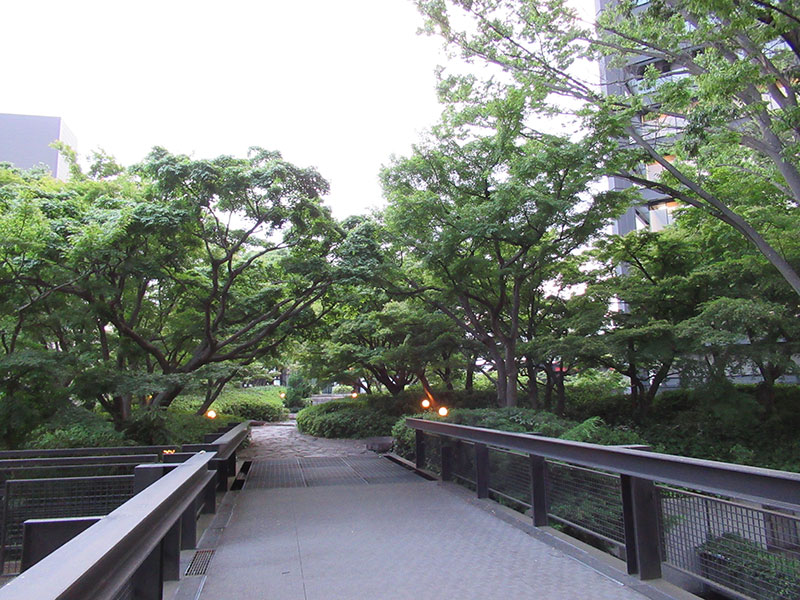 Photo: Rooftop garden near the Isehara Works' head office building