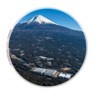サステナビリティ
